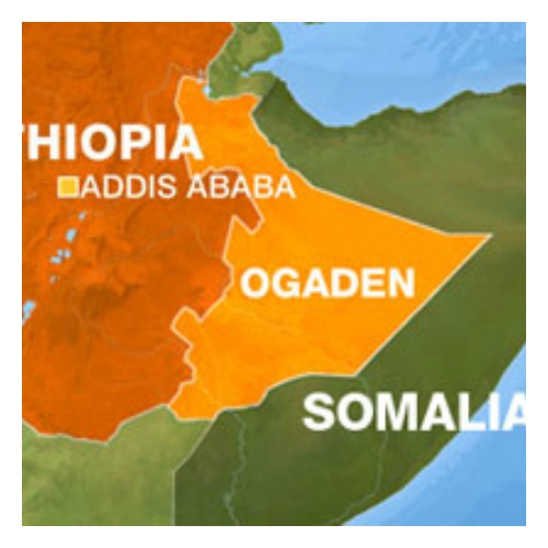 Oromo Militia’s Massacre 17 Somalis in Moyale