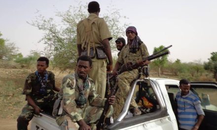 Oromo militia’s attack Somali pastoralists