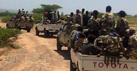 Ogaden : Liyuu Police Begin To Disarm Locals