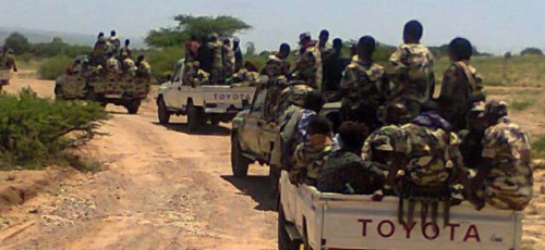 Ogaden : Liyuu Police Begin To Disarm Locals
