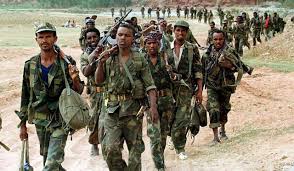 Massive Movement of Ethiopian Troops In Bay Province