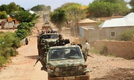 Oromo Militia’s Massacre Somalis In The Town Of Cuusweyne