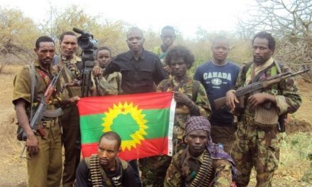 Suspected Oromo Rebels Kill Six In Wollega