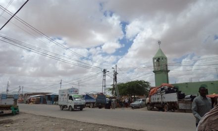 Mamuulka Jigjiga oo Deeq Soo Gaarsiiyay Gobolka Sool