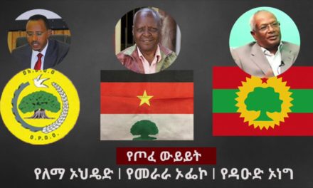 OPDO Junta To Begin Talks With 10 Opposition Groups