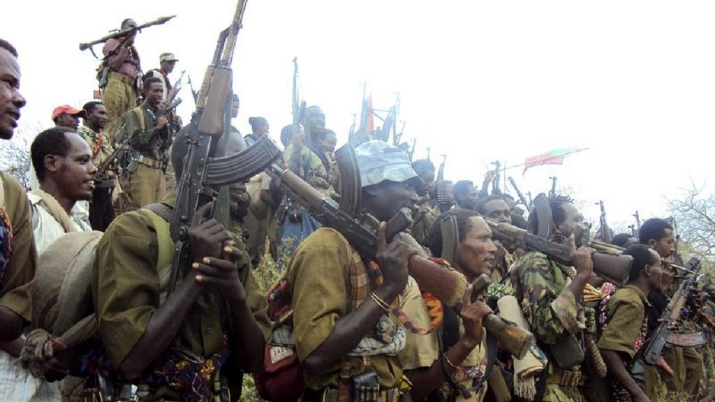 Massive Build Up Oromo Militias In Jinicsani