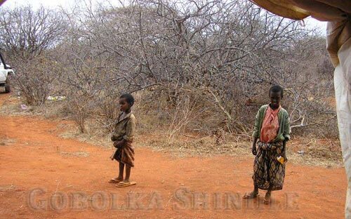 Afar Militants Massacre Somalis In Sitti Province