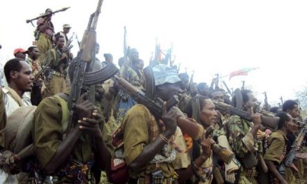 Oromo Paramilitaries Besiege Somali Border Town