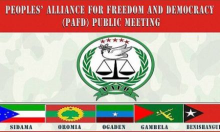 PAFD Statement On The Formation Of The Sidama Regional State