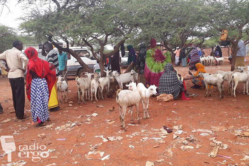 Xaaladda Degmada Tuliguuleed oo Saaka Degan