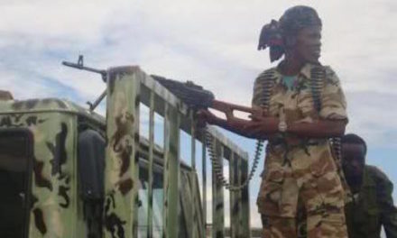 Oromo Militiamen Gunned Down A Somali Man Near Jinacsani