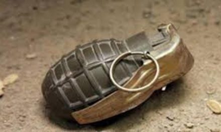Grenade Attack In Mogadishu, Targeting Local Official