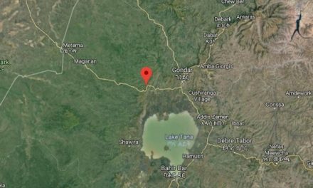 Renewed Clashes Rock Northern Ethiopia