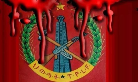 TPLF Member Removed From Ministerial Post