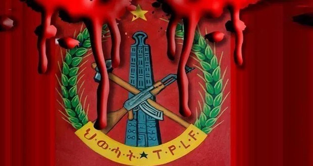 TPLF Executive Committee Lambast The Ruling Junta