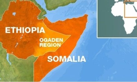 ONLF Speaks Out Following Attack On Office In Qorahay