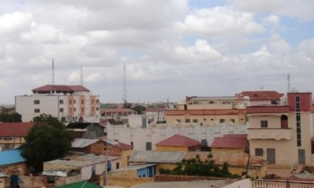Somalia : Governor of Mudug Killed In Suicide Bombing