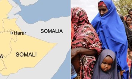 ‪Maqaal : Soomaalida & Xaalka Geeska Afrika‬
