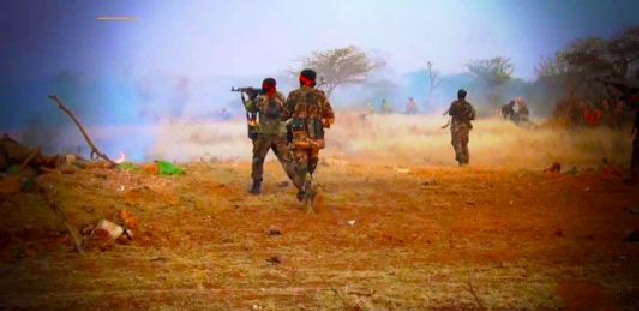 Somalia : Scores of Govt Troops Killed In Ambush