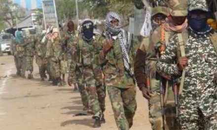 Somalia : Al Shabaab Fighters Open Fire On Civilians In Gedo Province