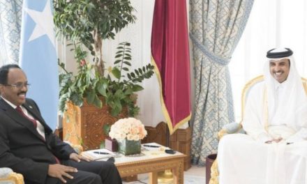 MW Farmaajo Iyo Amiirka Qatar oo Ka Hadlay Xaalada Soomaaliya Iyo Hub Uruursi Ka Socdo Muqdisho