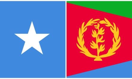 Analysis : Alleged Somali Involvement In Tigray Confict With Eritrean Backing