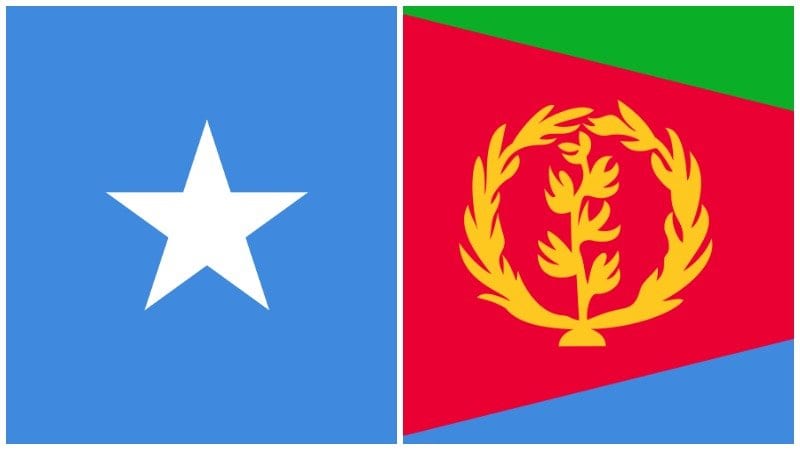 Analysis : Alleged Somali Involvement In Tigray Confict With Eritrean Backing
